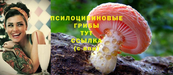 дмт Саяногорск